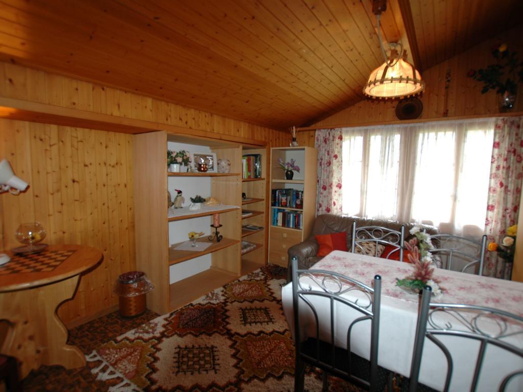 Pristine Home In A Charming Village Large Grassy Sunbathing Area View Of The M Nch And Jungfrau Wilderswil Kültér fotó